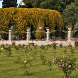 Villa La Rocca nasconde, nel cuore del grandissimo parco in cui � immersa, uno splendido giardino delle rose in cui trovano posto oltre 350 specie di questo fiore di ogni forma e profumo